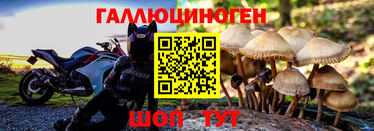 Галлюциногенные грибы Cubensis Абакан