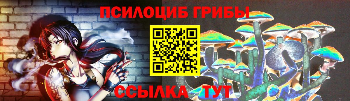 Псилоцибиновые грибы MAGIC MUSHROOMS  Вход с VPN  купить наркотики сайты  Абакан 